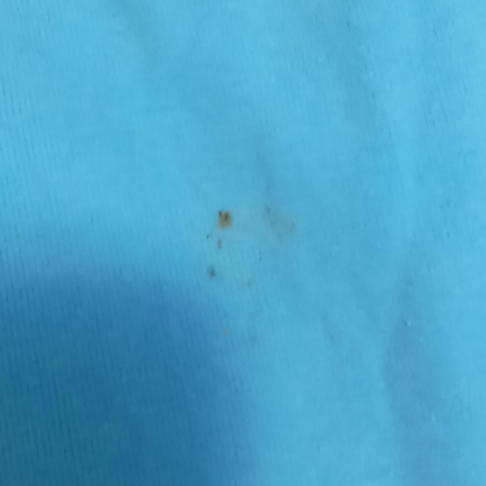 Blue tank - Picture 4 of 4